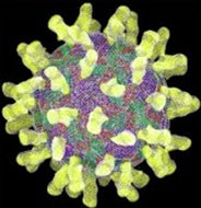 mononucleosis.jpg