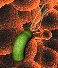 dispepsia1.jpg