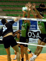 Elche - Compaktuna (elc-com.jpg)